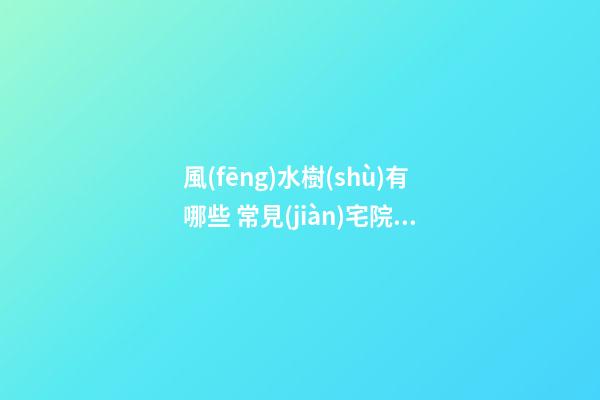風(fēng)水樹(shù)有哪些 常見(jiàn)宅院風(fēng)水樹(shù)有哪些
